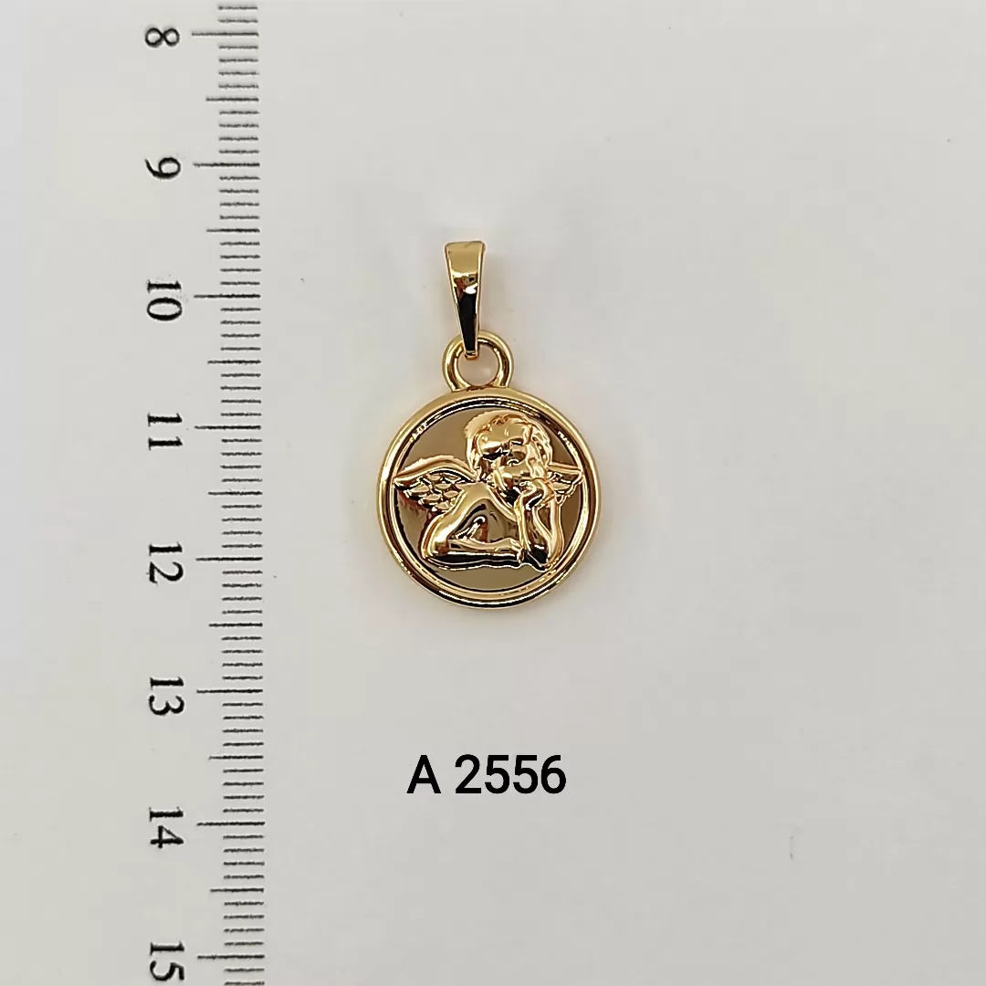 A 2556
